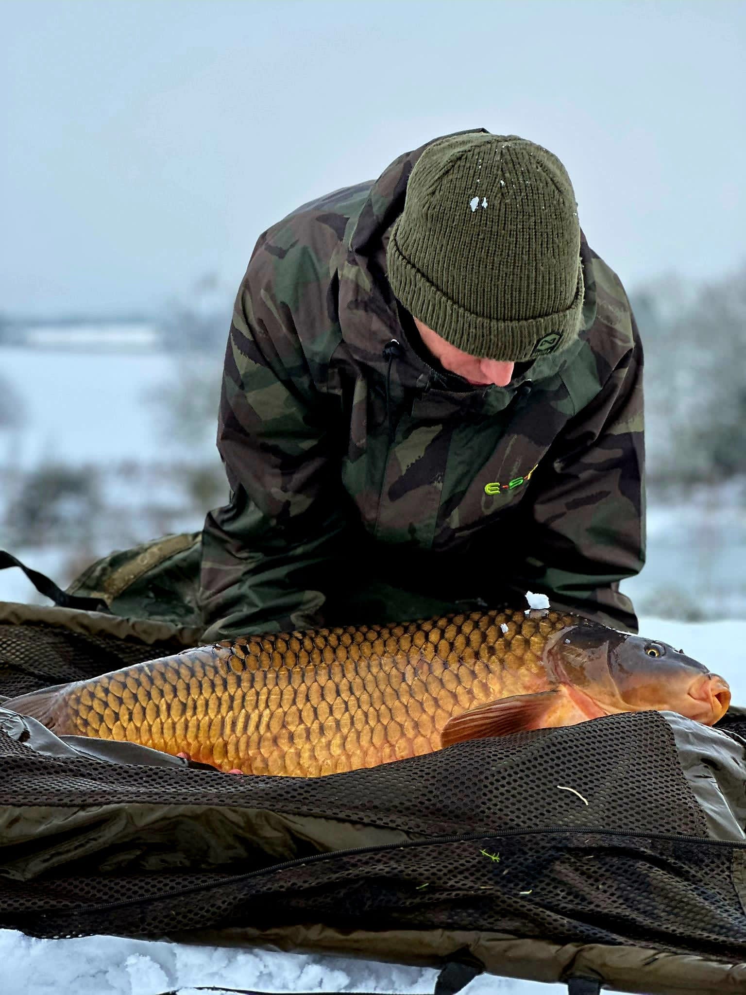 When is the best time to fish for carp?
