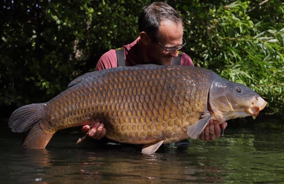 Types of Carp: A Definitive Guide