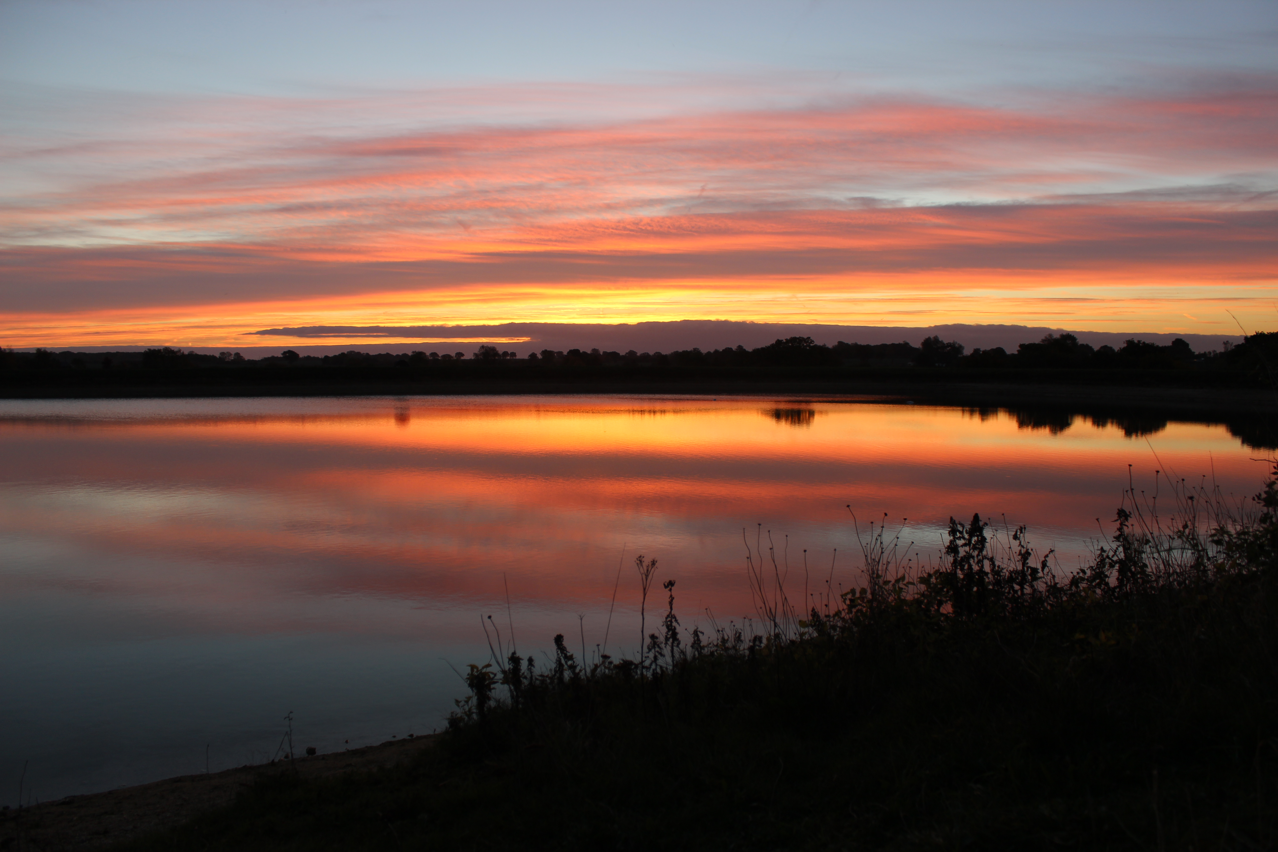 best carp lakes in england