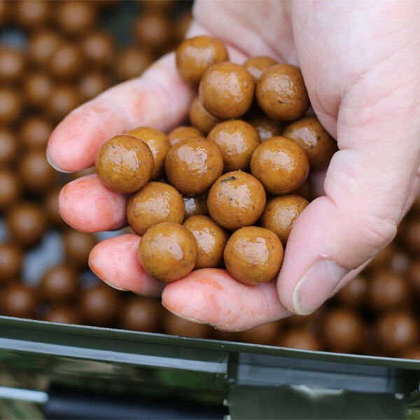 CARP FISHING PRE GLUGGED SESSION BOILIES WITH KEY AMINO ACIDS PROTEIN CARP BAIT 