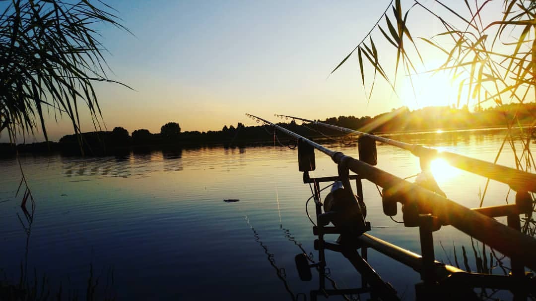 The Top 10 Tips for Summer Carp Fishing