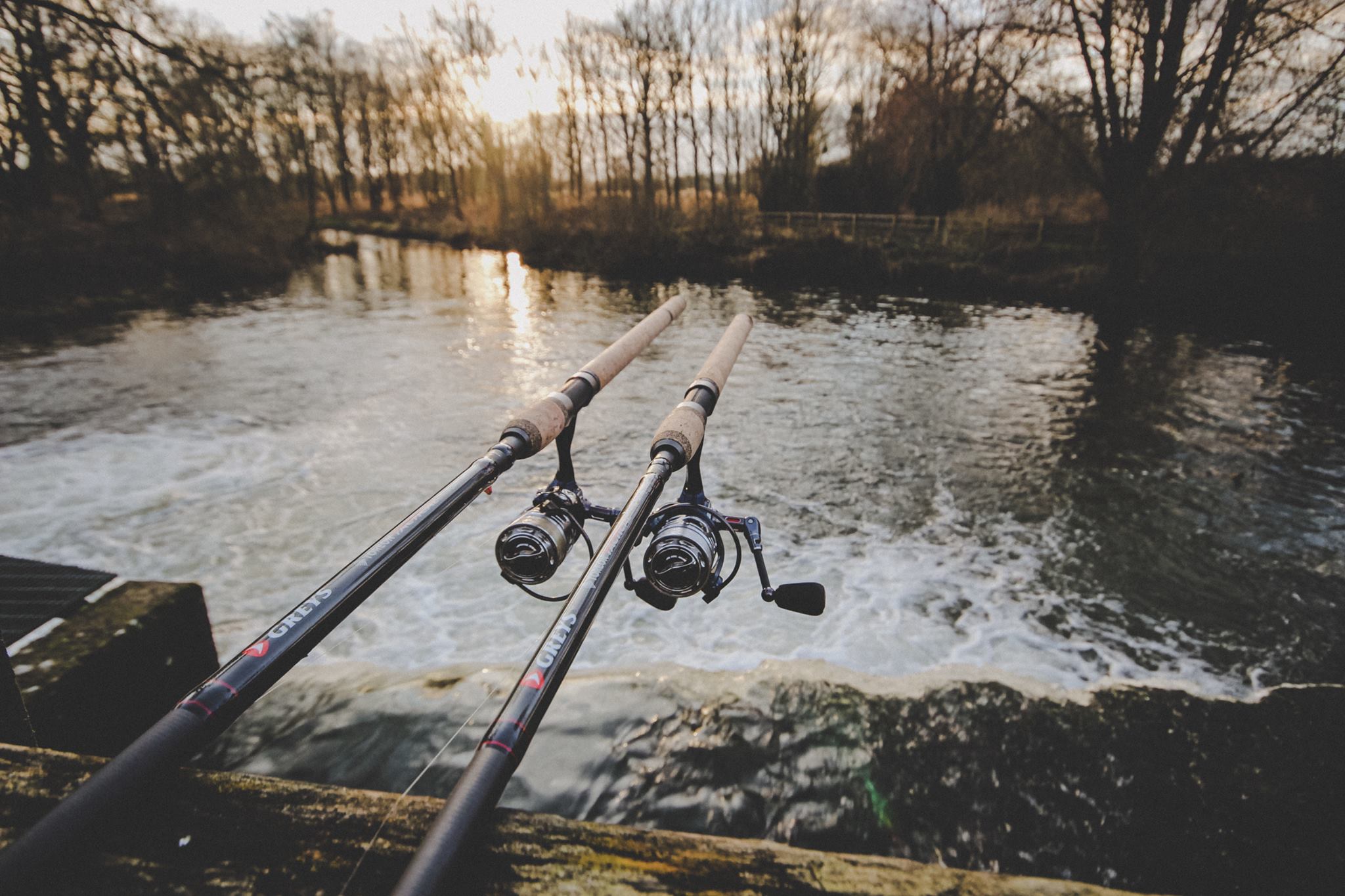 9 Best Carp Rods in 2023 Reviewed