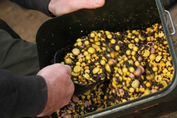 Best Spod Mixes - A Total Fishing Tackle Carp School