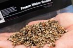 CC Moore - 500g Frozen Water Snails