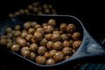 Parker Baits - OG Fruit & Nut Shelf Life Boilie - 1kg