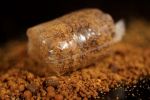 Sticky Baits - The Krill Spod & Bag Mix - 2.5kg