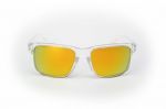 Fortis - Bays Clear Frame Polarised Sunglasses
