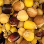 Nash - Large Seed Mix