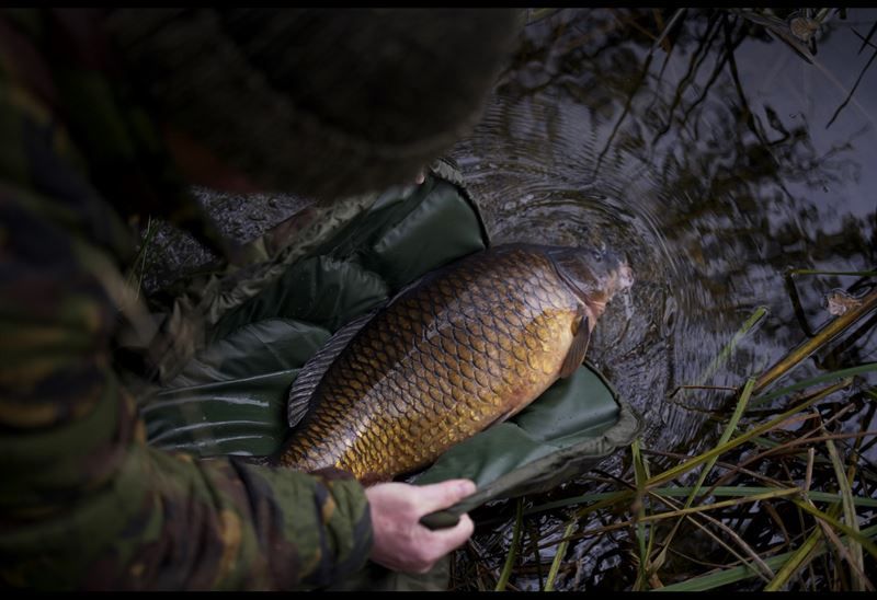 ESP Quickdraw Unhooking Mat