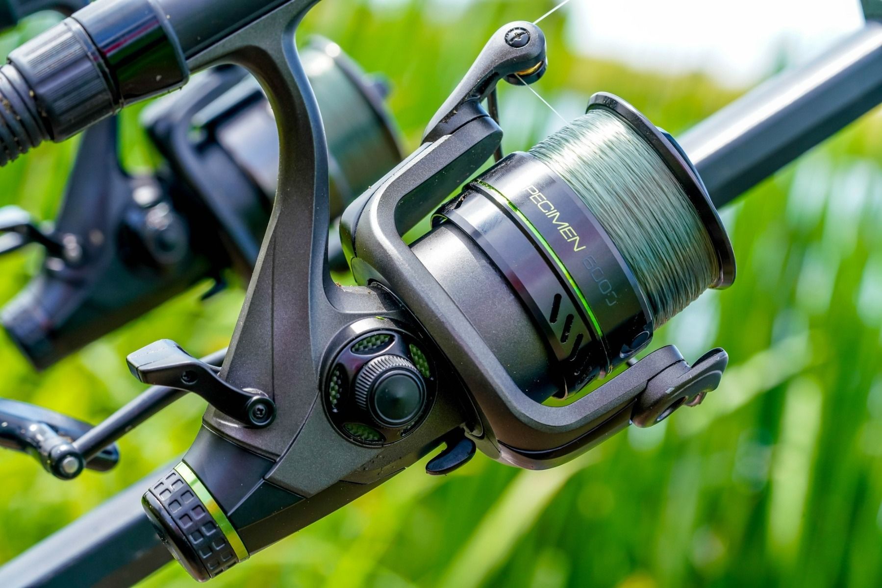 Guru NGauge Specimen Reel