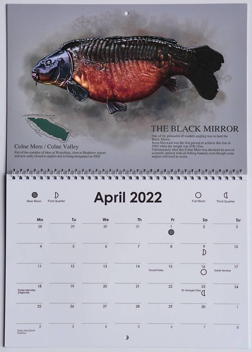 Fish Calendar 2022 Carp Art - 2022 Carp Calendar