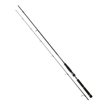 Daiwa - Bg Seabass Rod