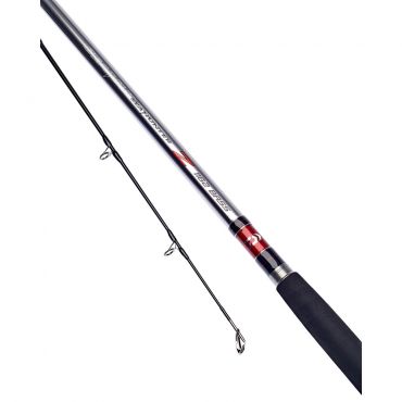 Daiwa - Seahunter Z Seabass Rod