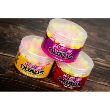 Mainline - Quads - Pop Ups