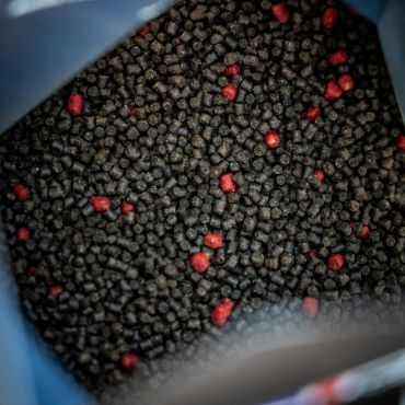 RG Baits - Hot Shrimp + Liver Mini Bag Pellet 1kg (1,2 & 3mm)