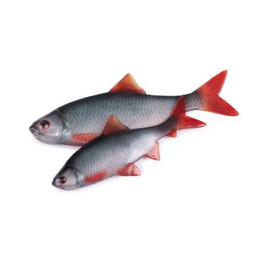 Fox Rage - Ultra Natural Roach Fillet 4pcs