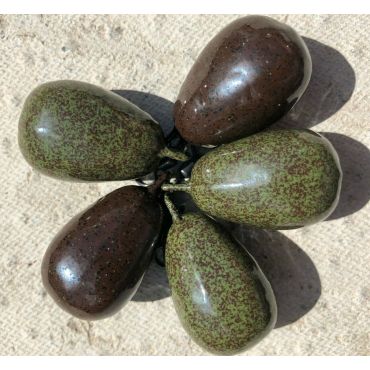 West Country Leads - Round Pear Leads