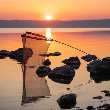 Nash - Air Force F40 Landing Net 46"