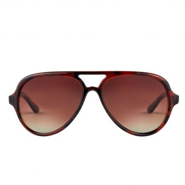Fortis - Aviator Tortoise Polarised Sunglasses