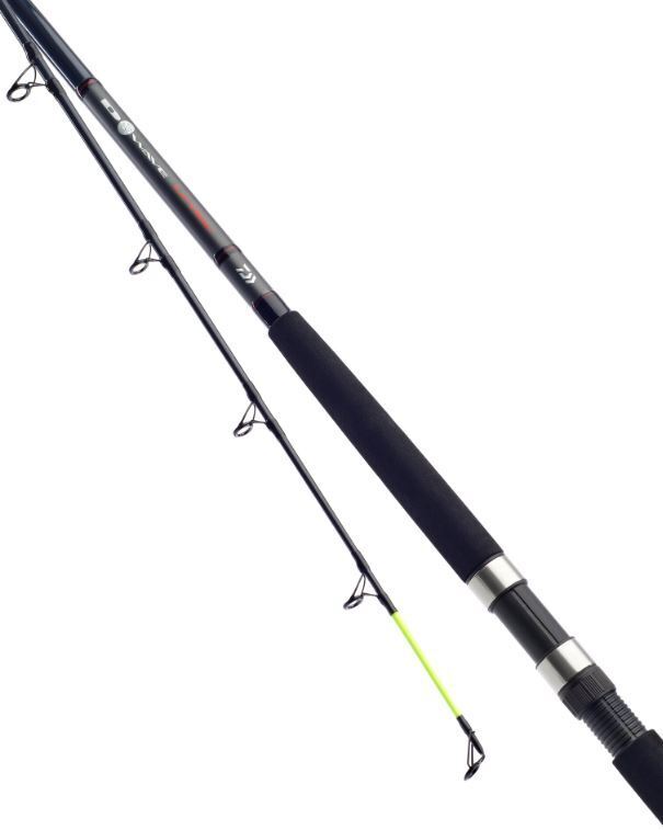 Daiwa - D Wave Uptide Rod - 9'6" 4-10Oz