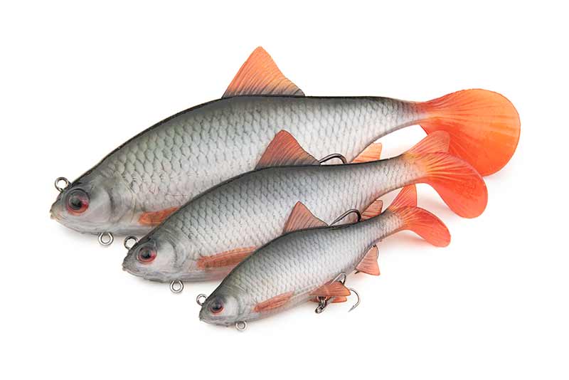 Fox Rage - Ultra-Realistic Roach Replicant