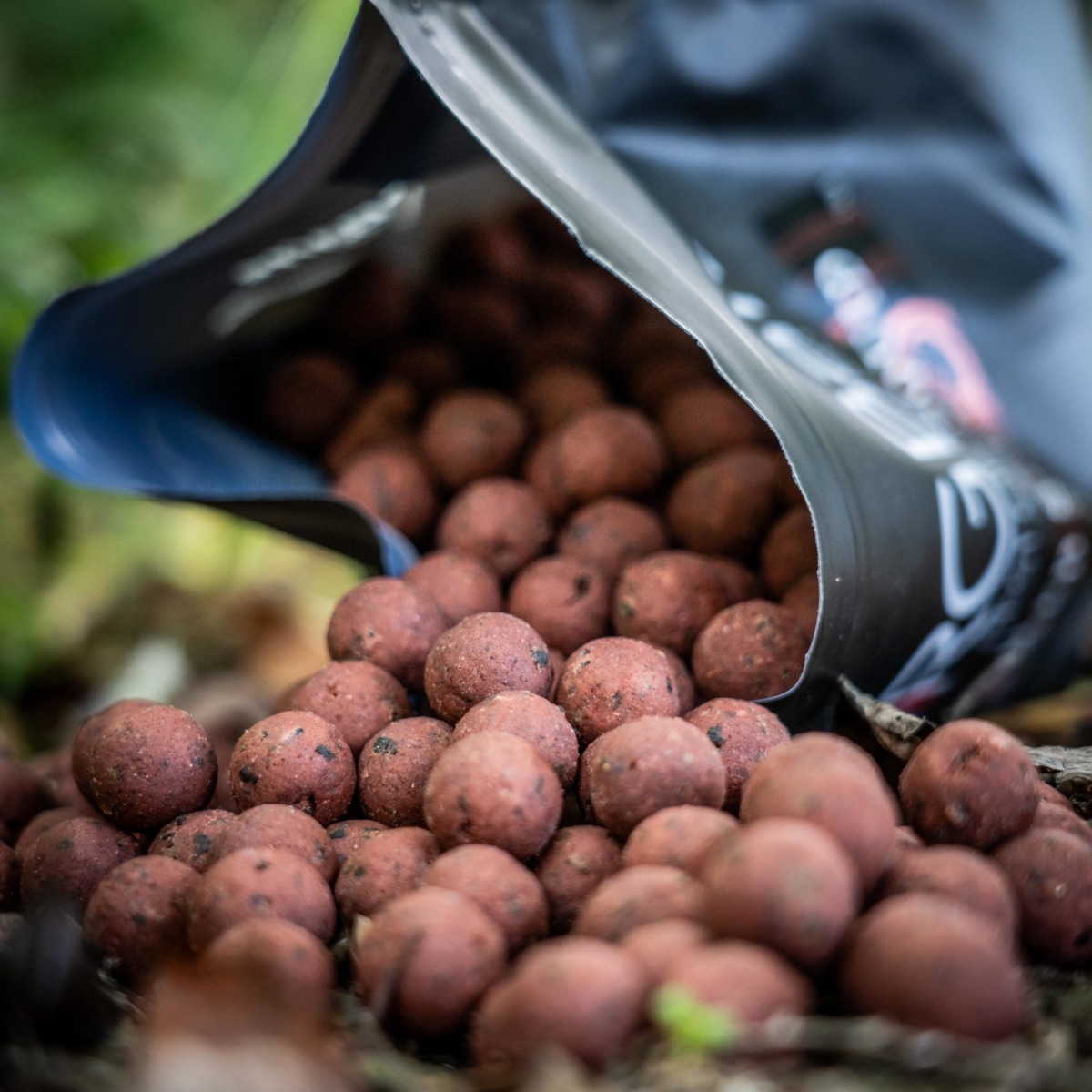 RG Baits - RED SEA SQUID Stabilised Bait 