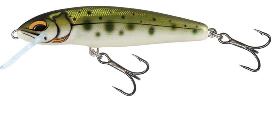 Salmo - Minnow Lures
