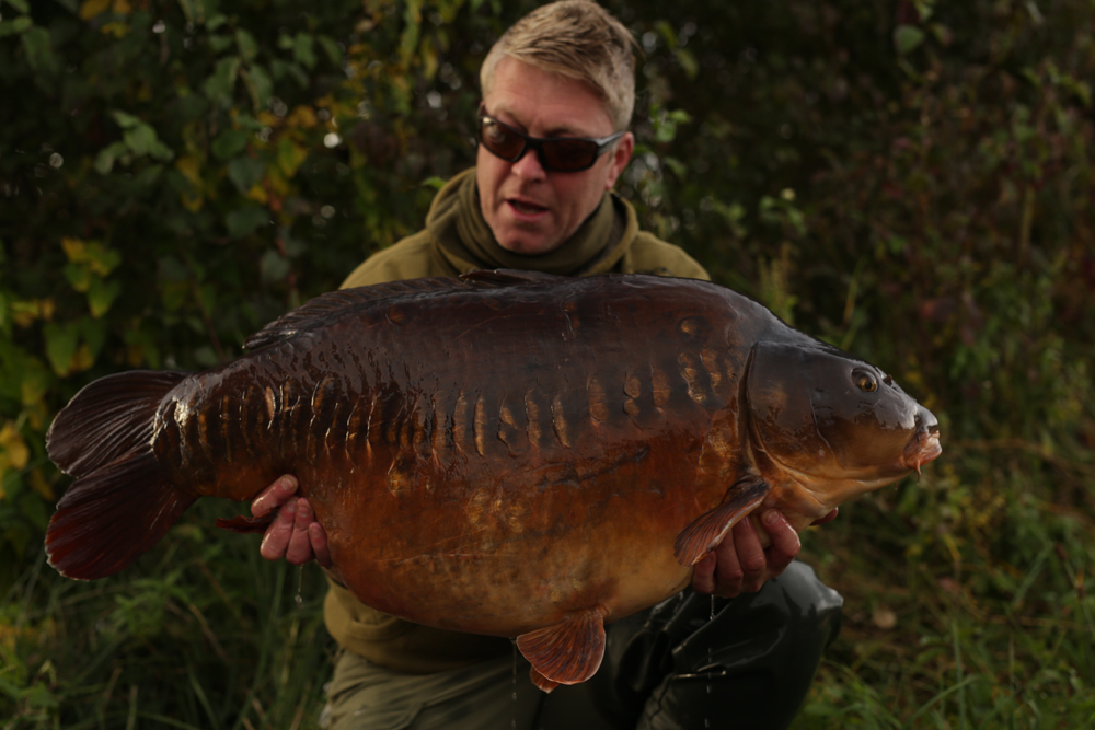 Monster from the Thames - Looks at it! 