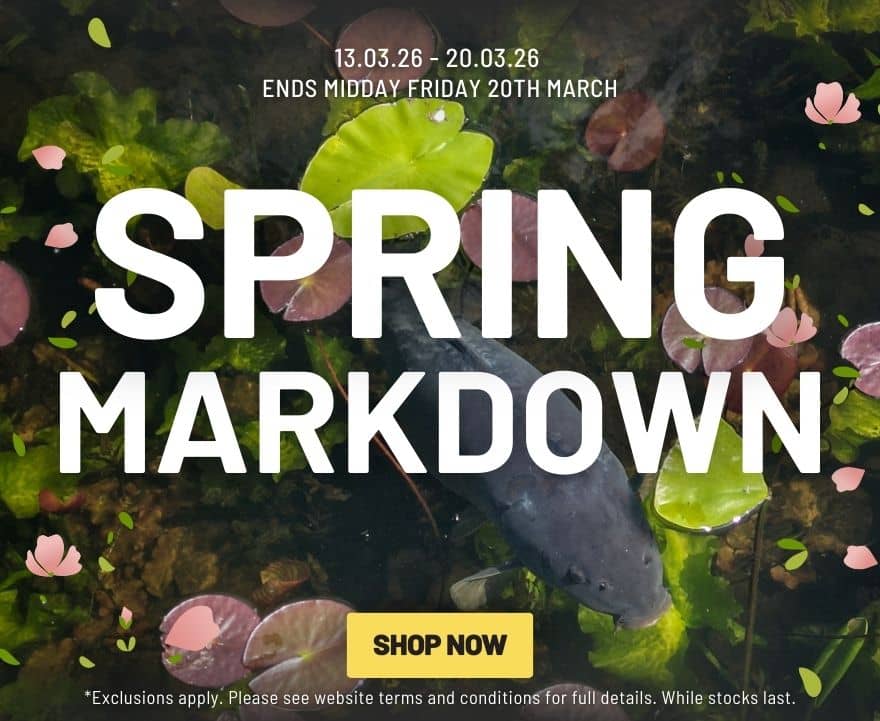Spring Markdown Sale