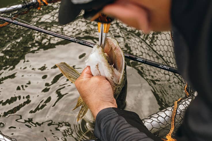 Predator Fishing Rods