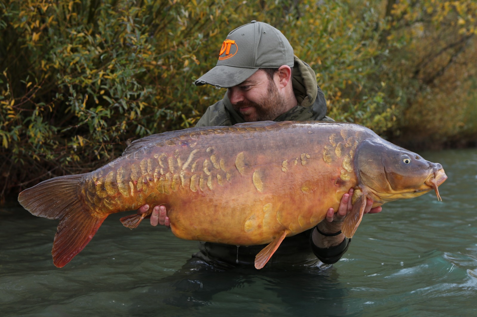 Gigantica